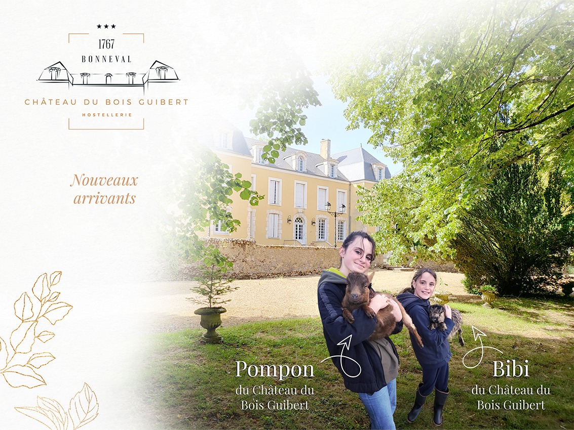 Mini Parc du Château du Bois Guibert (Bonneval, la petite Venise de la Beauce) - Découvrez nos animaux : les chèvres