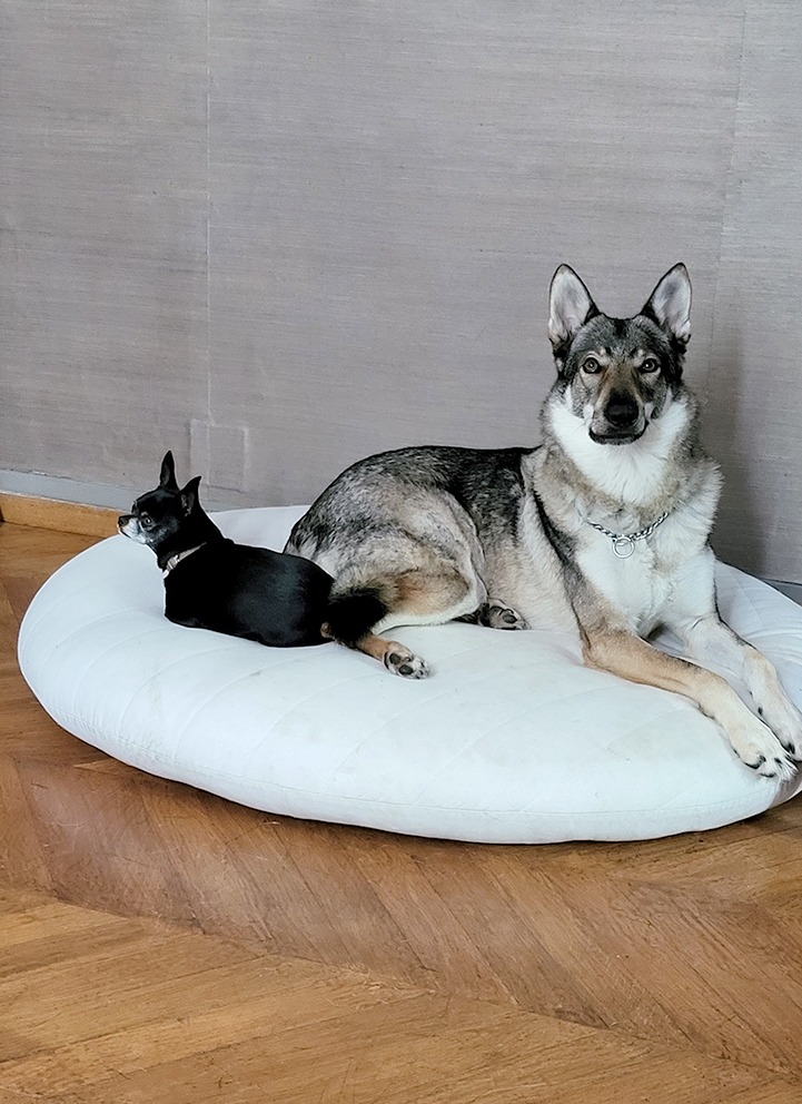 Le Château de Bois Guibert - Découvrez l'Hostellerie du Château du Bois Guibert et ses chambres Luxe & Confort - Un hotel de charme/logis pour une nuit, un séjour ou un week-end dans notre domaine entre Chateaudun Chartres en Eure et Loir. Chiens admis à l'hôtel (28) Bonneval. Ils adoreront de toute évidence se promener dans le parc. Dans la mesure où vous souhaiteriez que votre chien vous accompagne, il vous suffit simplement de le préciser lors de votre réservation. Nous nous tenons à votre service.
